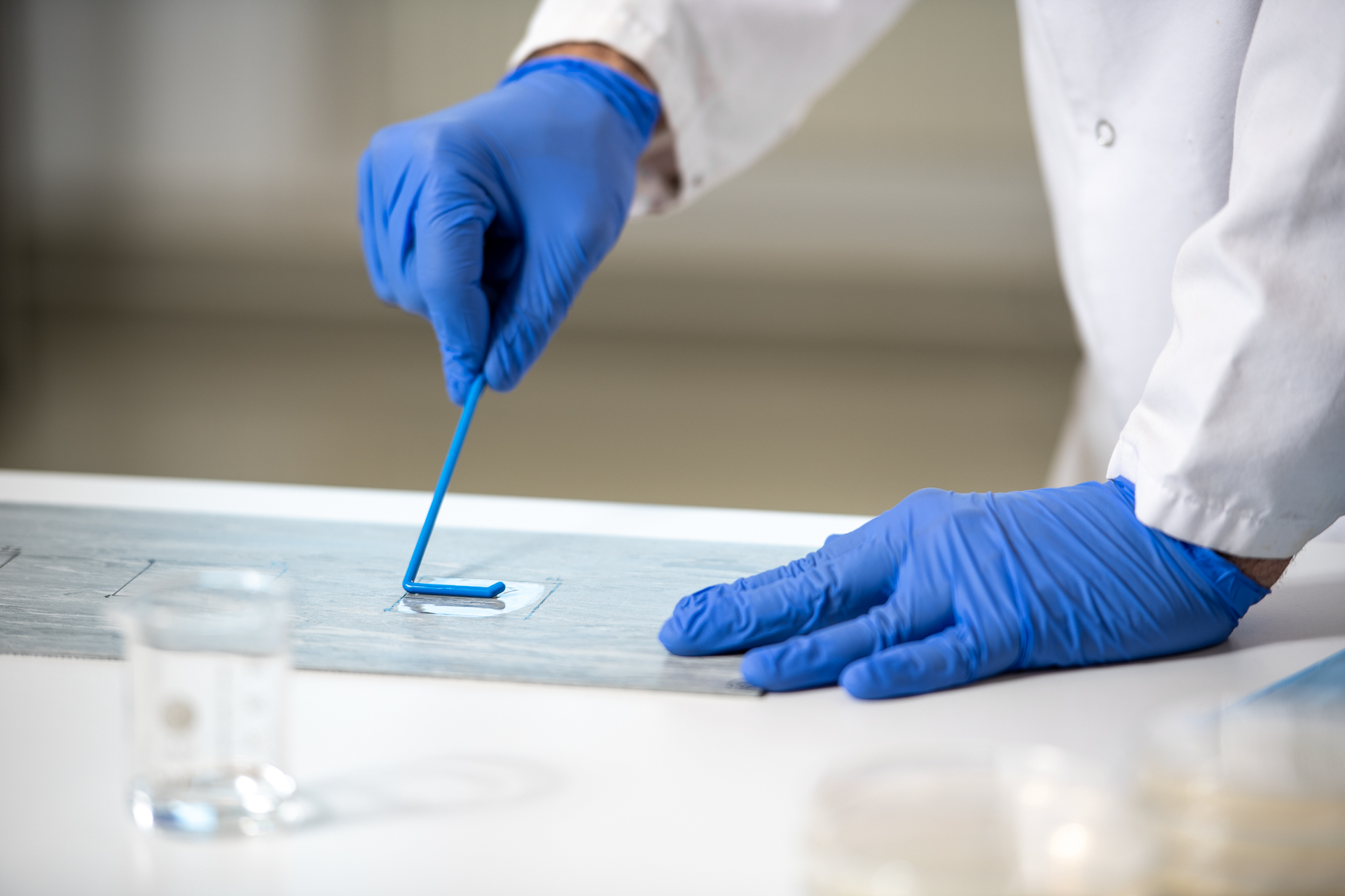 4-Felder-Test in Nahaufnahme