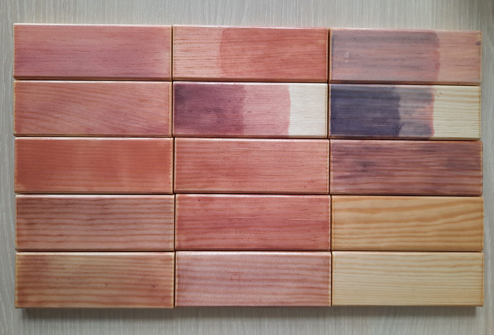 Mit Pilzextrakten behandelte Holzstücke