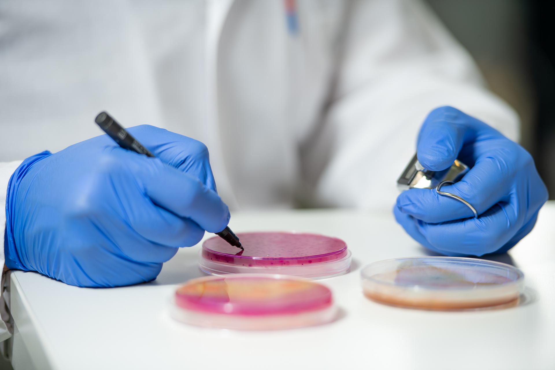 Hände mit Petrischale