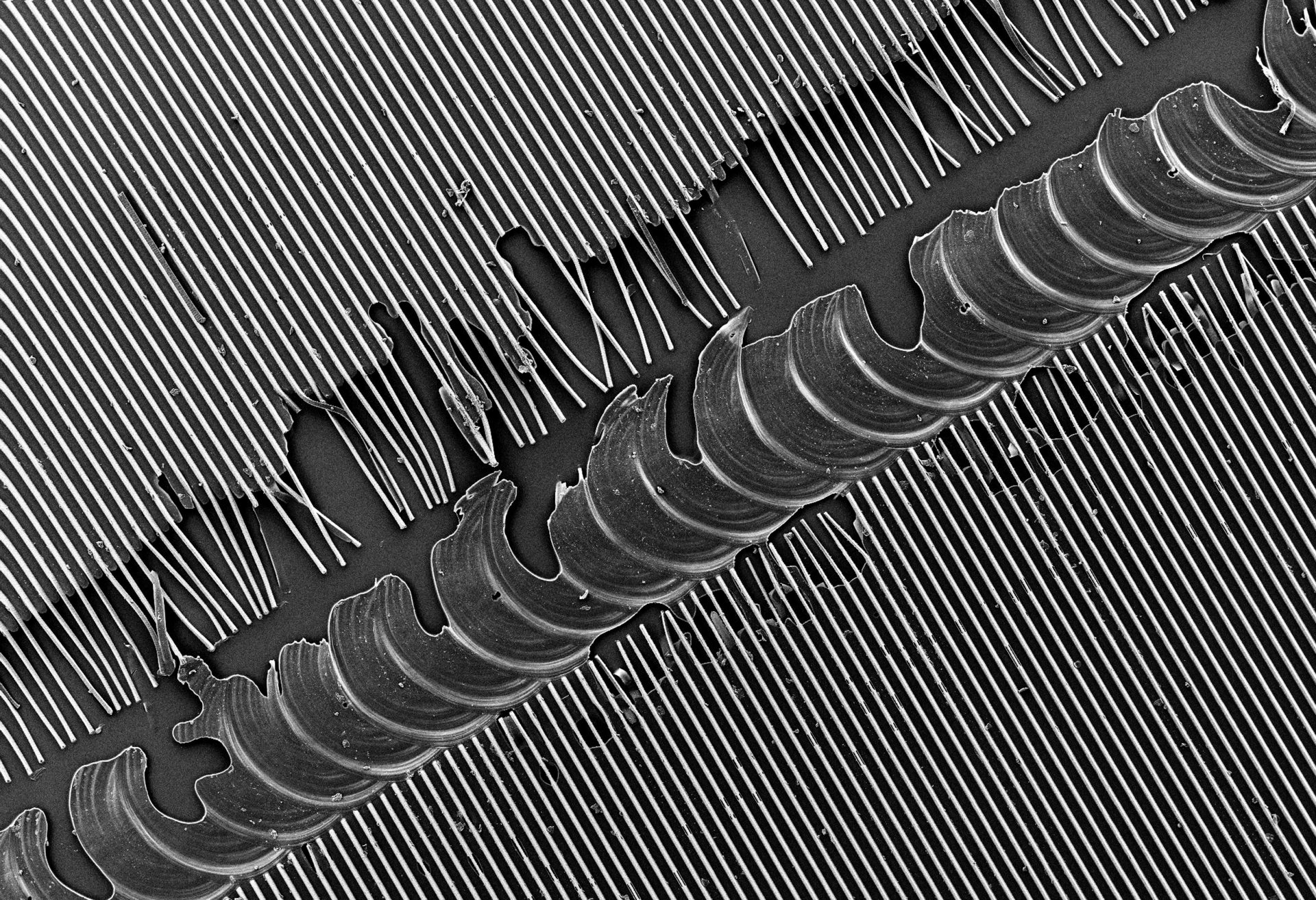 Elektronenmikroskopische Aufnahme einer Mikrostruktur-Folie