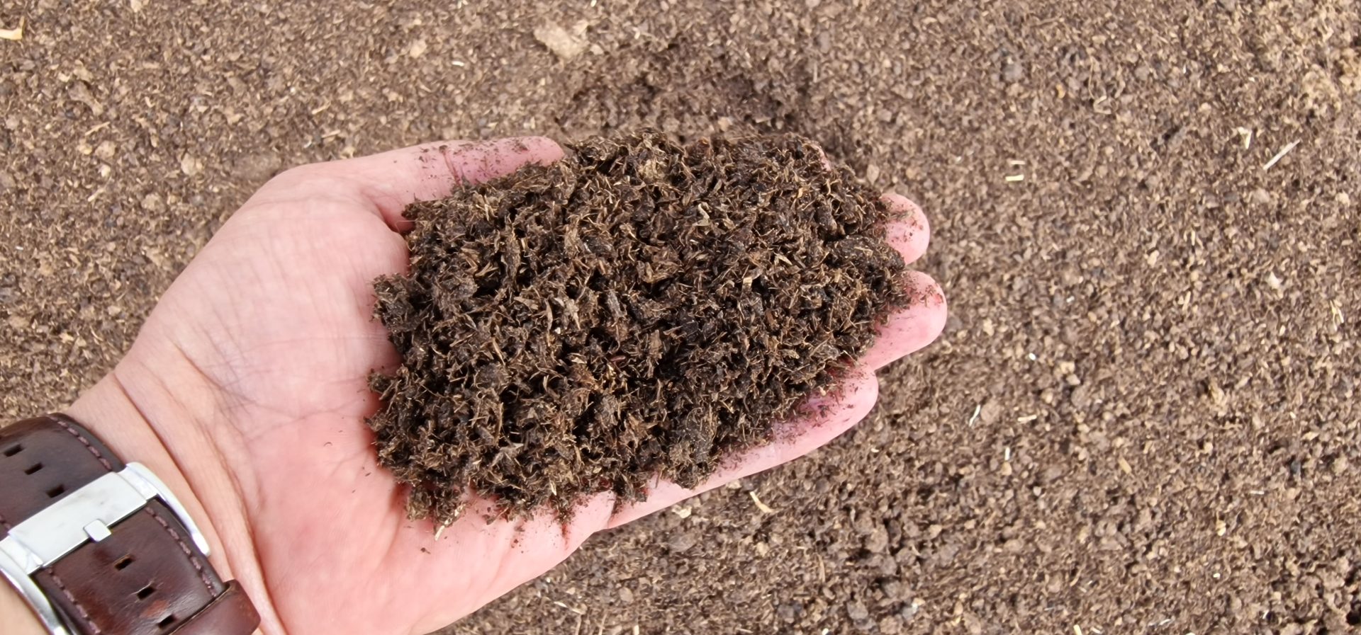 Hand mit Pflanzensubstrat